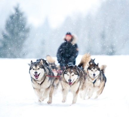 Activite hebergement hautesAlpes