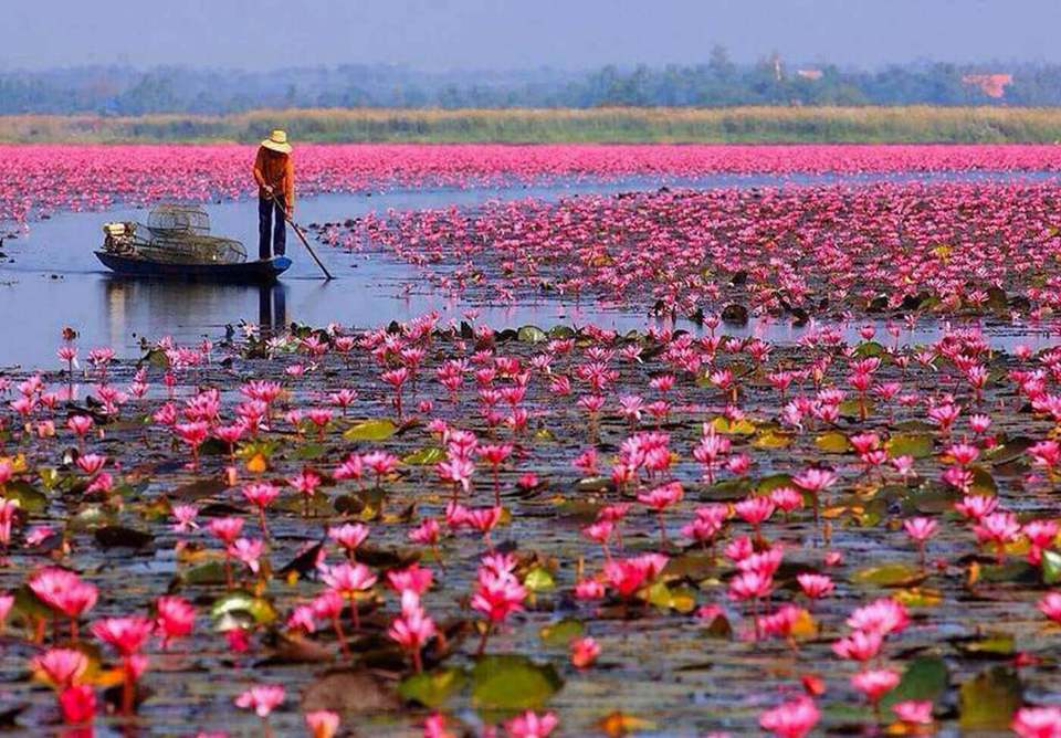 voyage thailande insolite