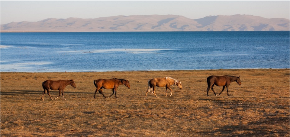 kirghizistan-song-kul.jpg