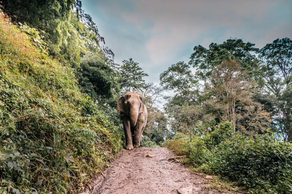 voyage thailande insolite