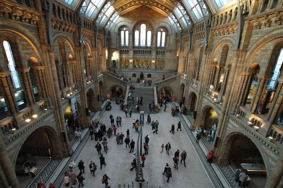 The breathtaking Natural History Museum is such a cool place to visit in London