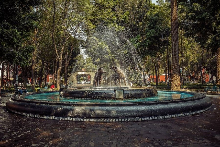 Coyoacan is where to stay in Mexico City