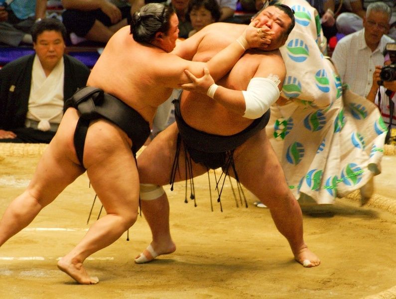 Sumo wrestling what to do in Japan