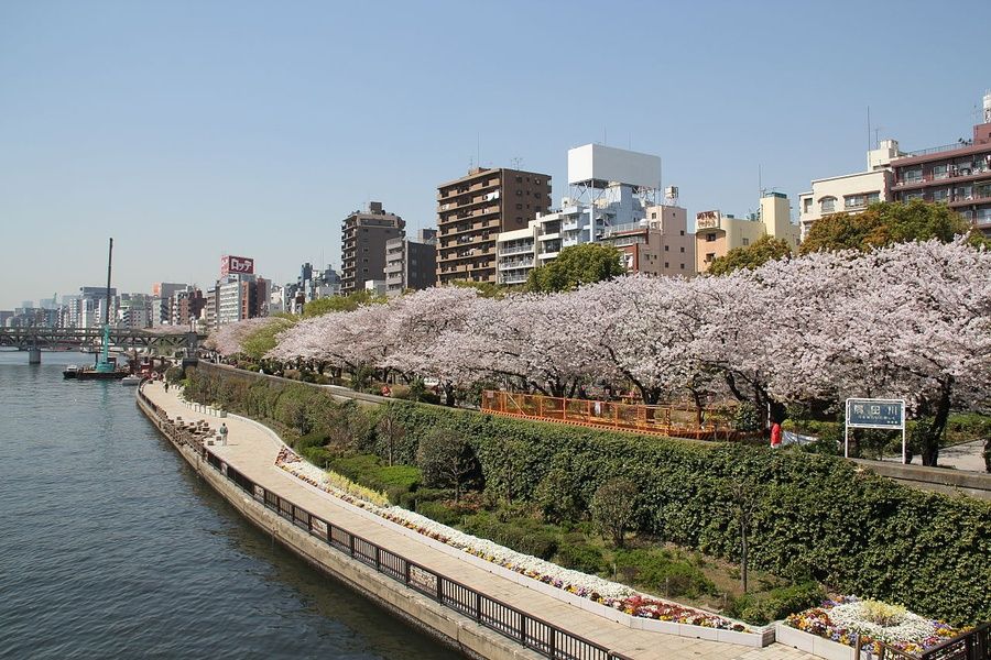 Kuritsu Sumida Park is an awesome place to explore if you're looking for what to do in Tokyo in 3 days