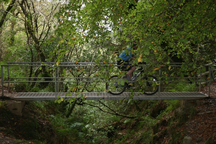 Biking in Ballyhoura is a great thing to do in Limerick