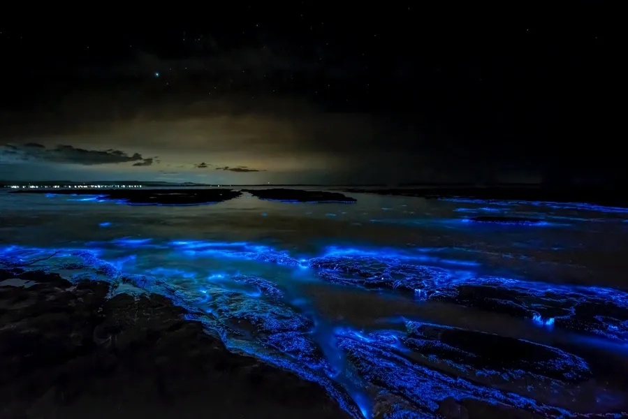 Nighttime boat tour of bioluminescent Parguera Bay is one of the expedia Puerto Rico excursions ViaHero loves