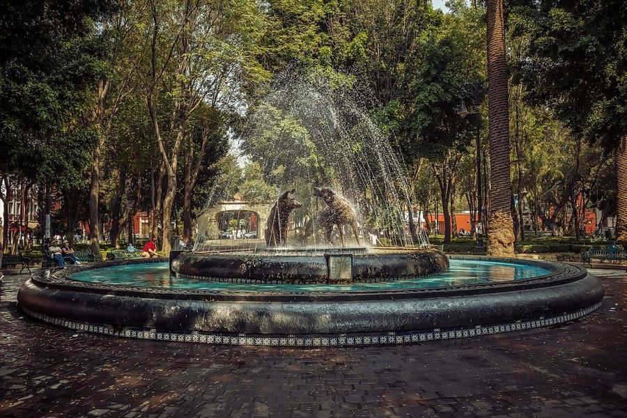 Exporing the Coyoacan neighborhood is a cool thing to do in Mexico City
