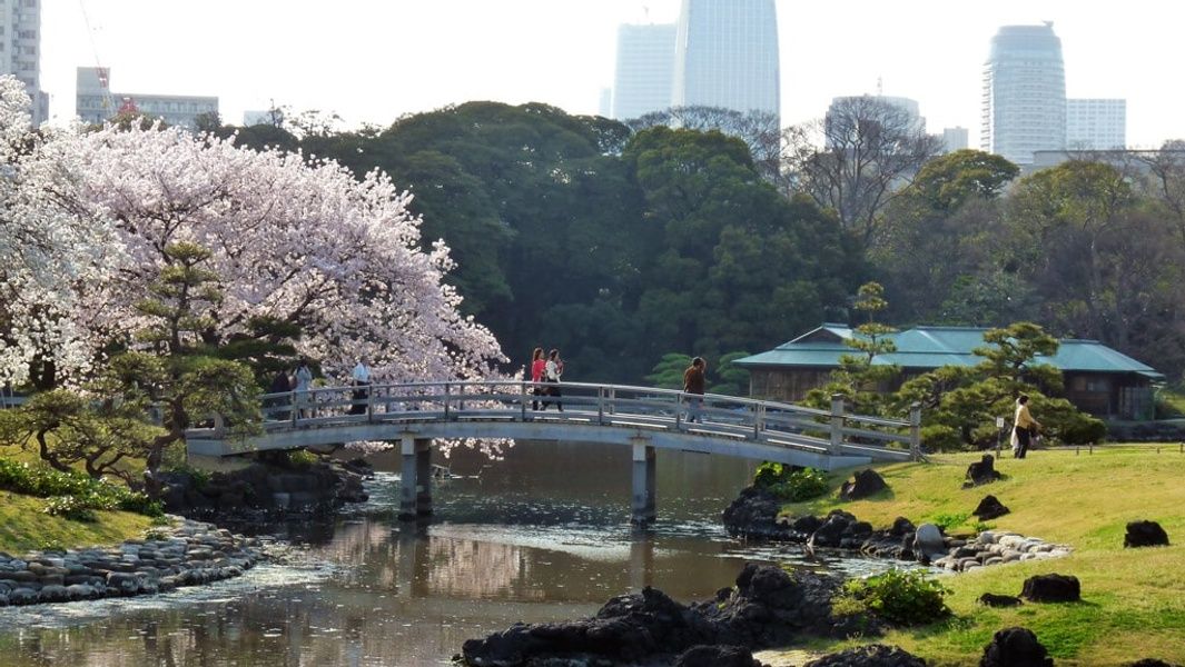 The gorgeous Hama Rikyu Gardens are well-loved by reviewers on TripAdvisor Japan