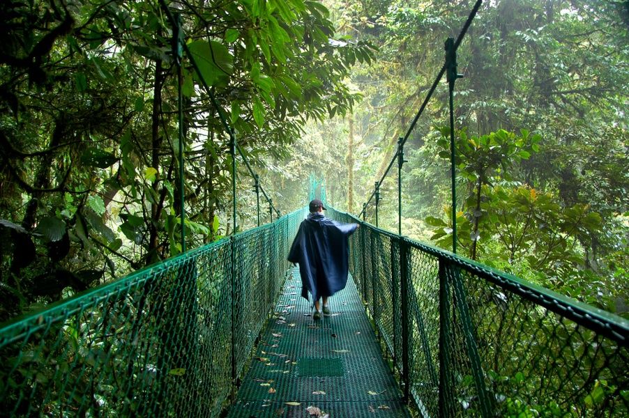 Où séjourner au Costa Rica pour une nature étonnante ? Monteverde