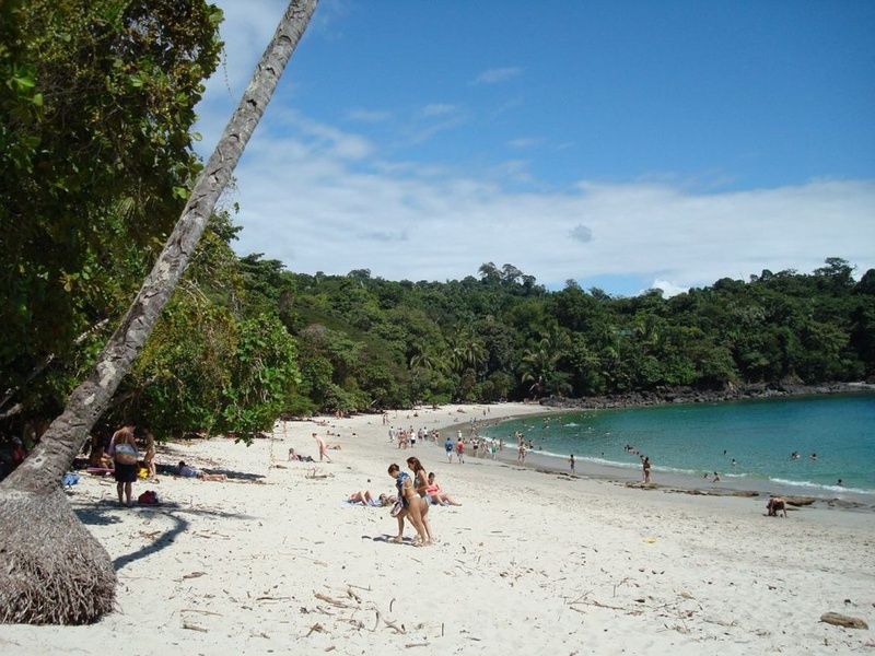 ¿Dónde alojarse en Costa Rica para disfrutar de la naturaleza y las playas? Quepos