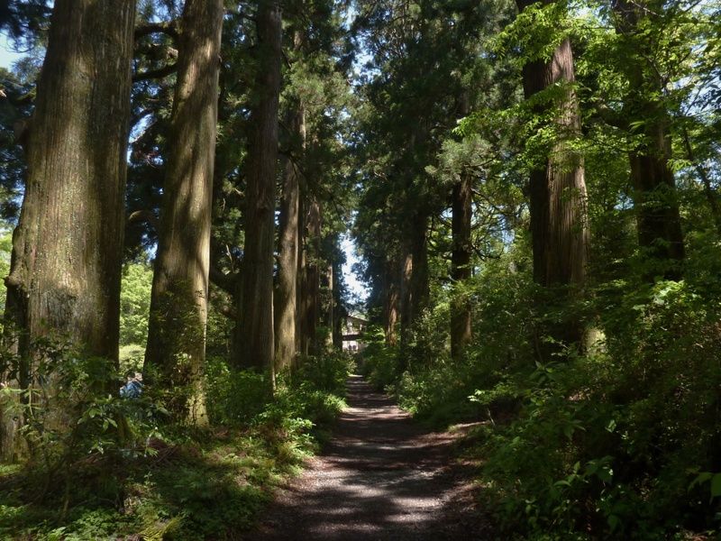 Traveling on the Old Tokaido Road is one of the things to do in Hakone Japan