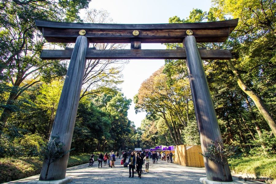 Shrines Cool Things to Do in Tokyo