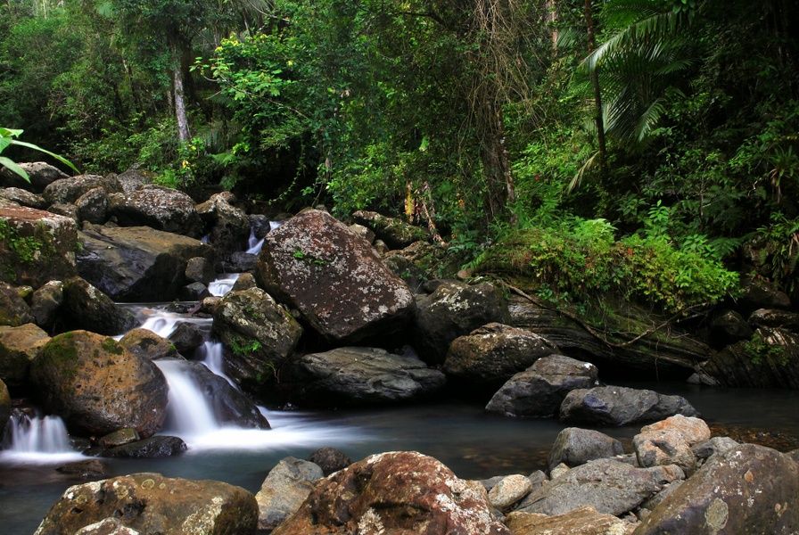 Puerto Rico's rainforest has some amazing waterfalls