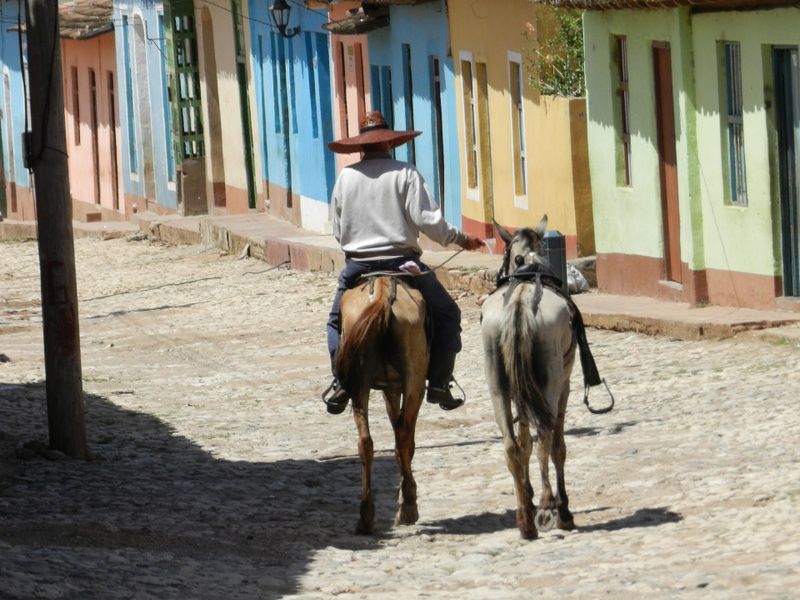 Cuba Horses Americans Allowed to Travel to Cuba