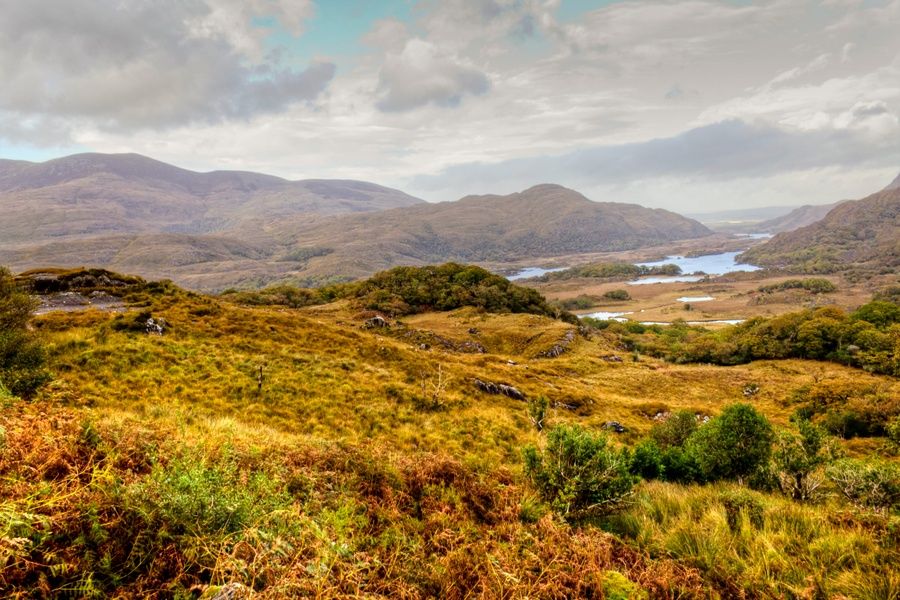 Trekking through Killarney National Park is an awesome thing to do in Ireland