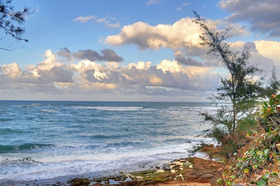 Having a picnic in Pinones is one of the fun things to do in san juan puerto rico