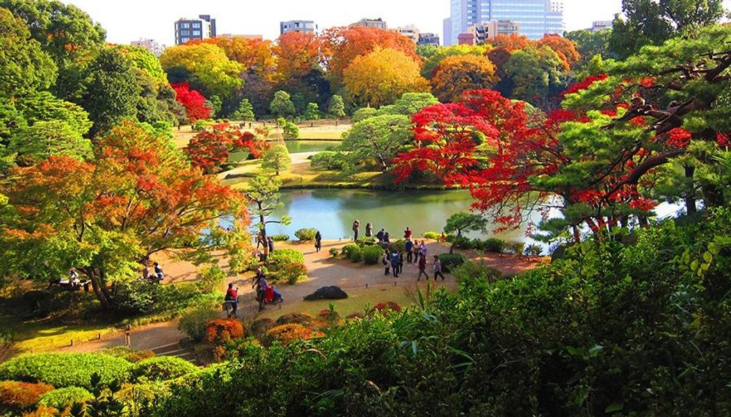 Spring and Autumn seasons is the best time to visit Tokyo
