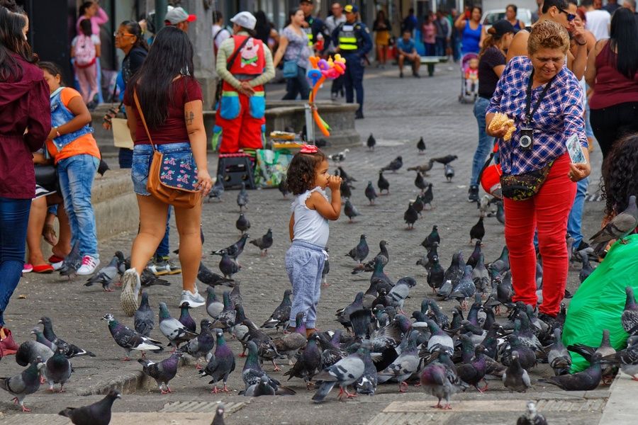 Où séjourner au Costa RIca pour une vie urbaine géniale ? San José