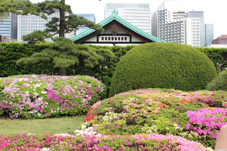The Tokyo Imperial Gardens are a lovely spot for Tokyo sightseeing