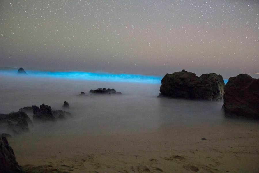 Bioluminescent Bay Fun Things to Do in Puerto Rico