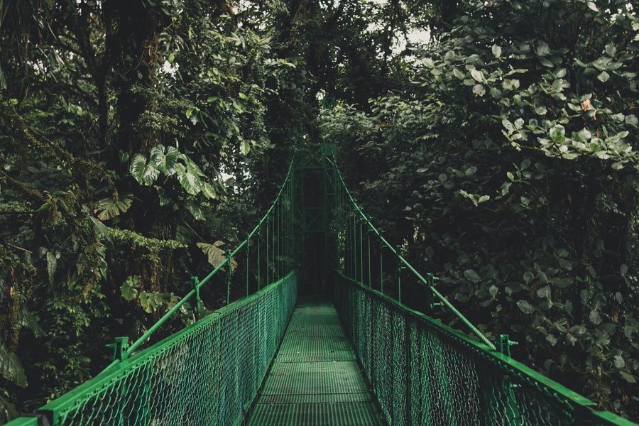 Walking through Monteverde is one of the best things to do in Costa Rica