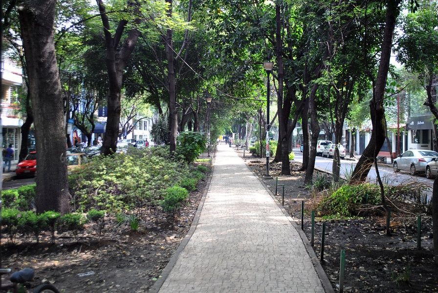 Parque Mexico is one of the best Mexico City attractions