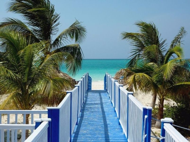 beaches and palm trees on the beach what you need to know about travel to Cuba