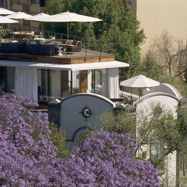 Condesa DF offers guests a glorious view