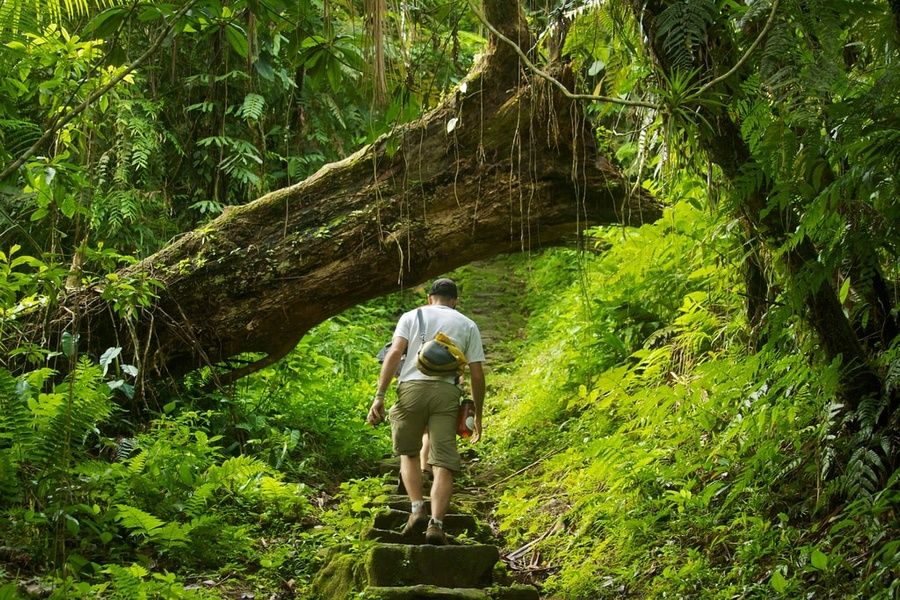 Lost City of Teyuna Colombia