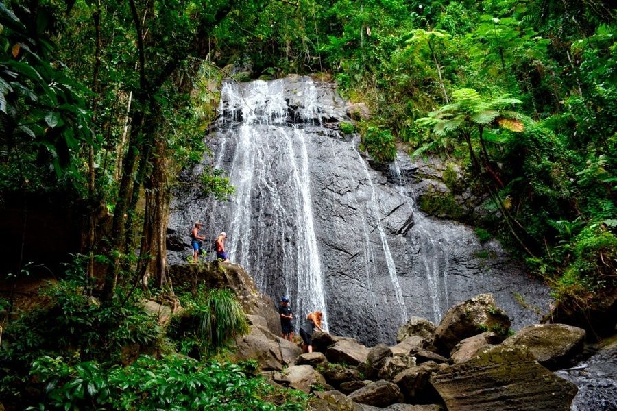 Exploring El Yunque is one of the great Puerto Rico excursions