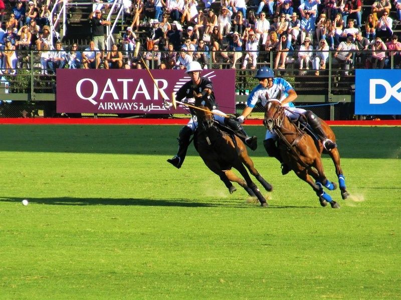 Catching a polo match is one of the best things to do in Buenos Aires