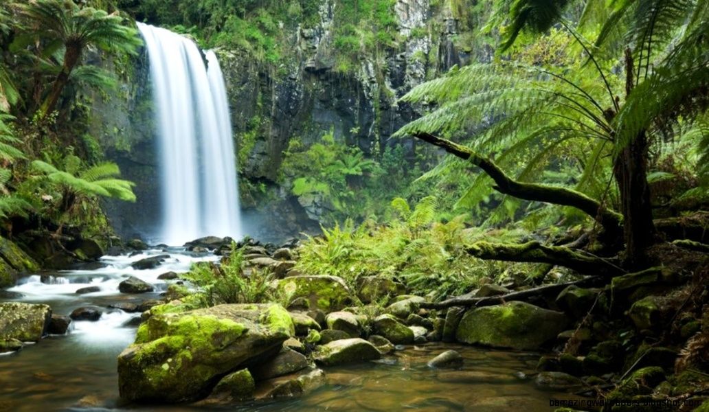 Private hike in El Yunque to the hidden waterfall is one of the expedia Puerto Rico excursions ViaHero loves