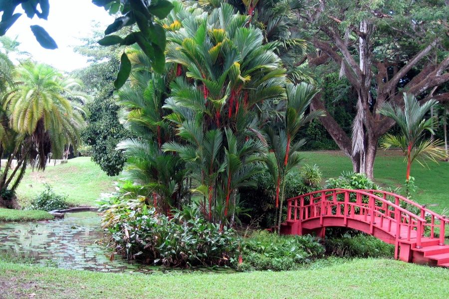 Rio Piedras Botanical Garden Places to Go in Puerto Rico