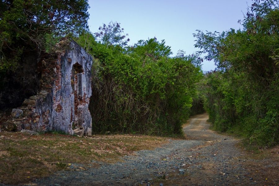 Guaniquilla Nature Reserve is one of the Best Places to Visit in Puerto Rico