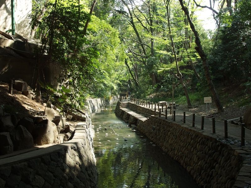 Todoroki Valley is an awesome place to explore if you're looking for what to do in Tokyo in 3 days