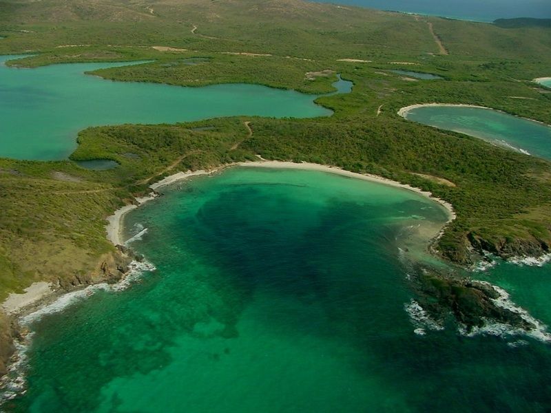 The National Wildlife Refuge in Vieques  is one of the best places to vacation in Puerto Rico