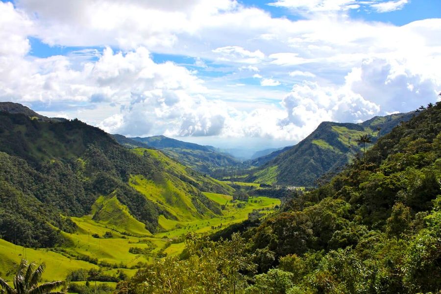 Cocora Valley Solento Colombia