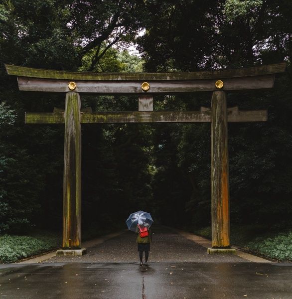 Visiting Meiji Shrine is one of the top things to do in Tokyo