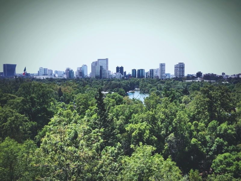 Chapultepec Park offers tons of great things to do in Mexico City