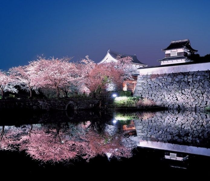 Seeing the Fukuoka castle is one of the Things to do in Fukuoka Japan