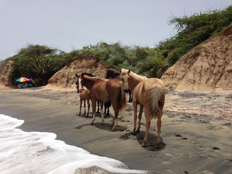 Playa Negra Beach is one of the Best Places to Visit in Puerto Rico