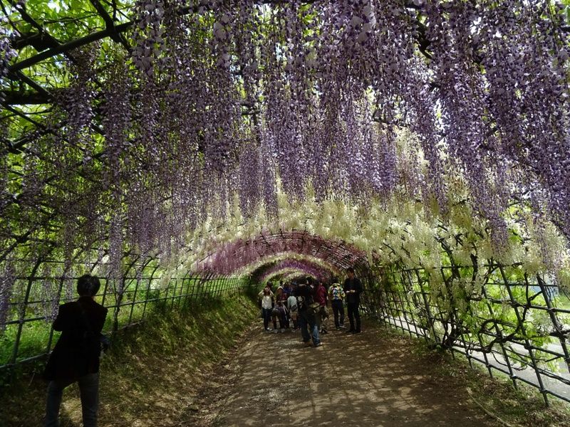 Gorgeous Kitakyushu is one of the best places to stay in Japan