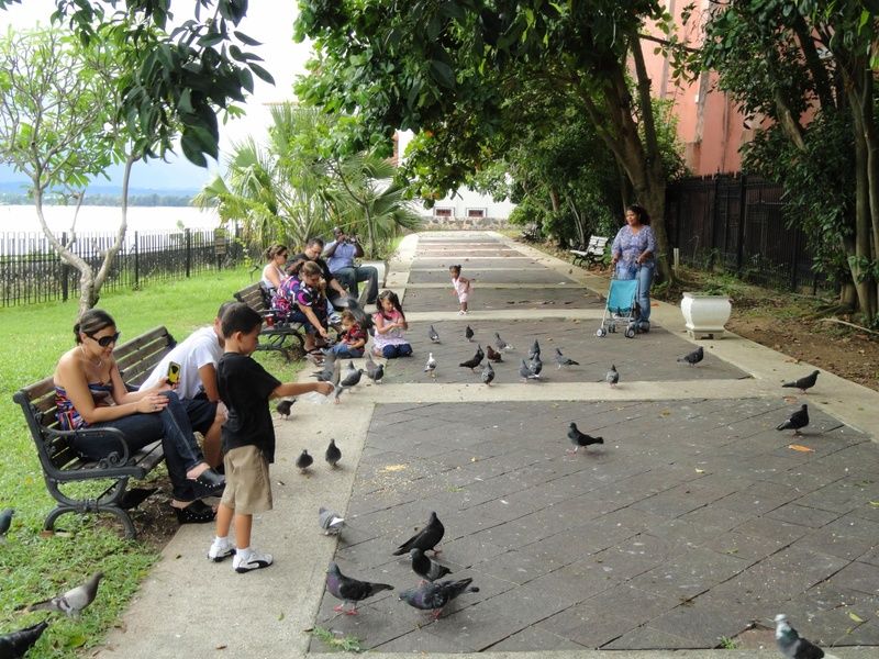 Parque Las Palomas aka Pigeon Park is one of the fun things to do in san juan puerto rico