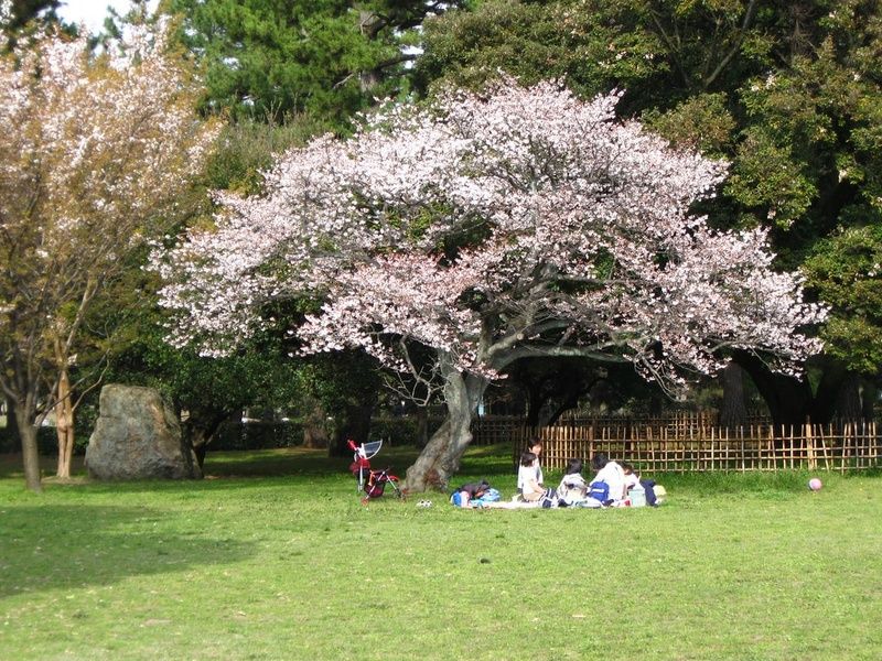 Gyoen National Garden in Kyoto, Japan