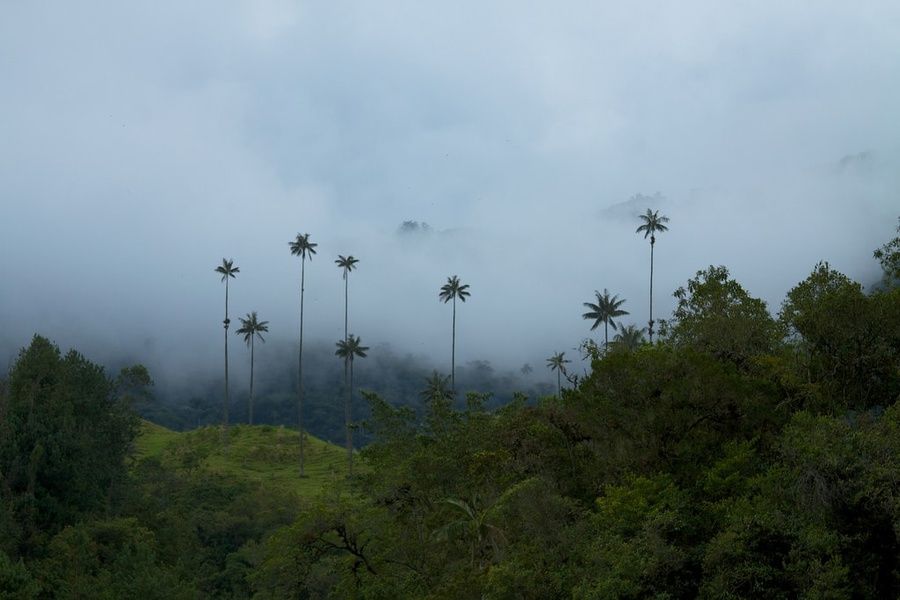 Day Trip 2 Weeks in Colombia