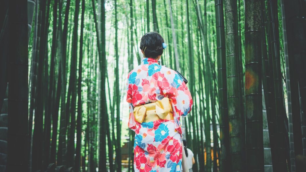 Girl in Kimono in Bamboo Forest in Japan