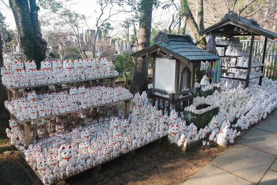 Gotokuji Temple is a cool place to explore if you're looking for what to do with 3 days in Tokyo