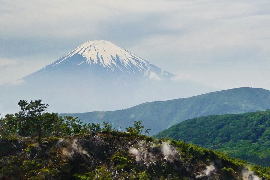 Seeing the Fuji-Hakone-Izu National Park is one of the things to do in Hakone