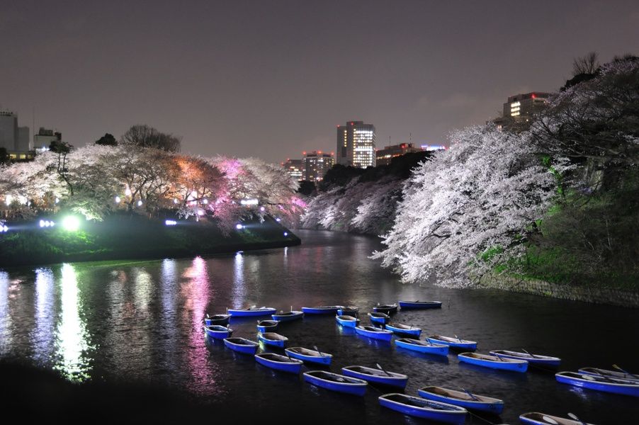 Your favorite season is the best time to visit Tokyo