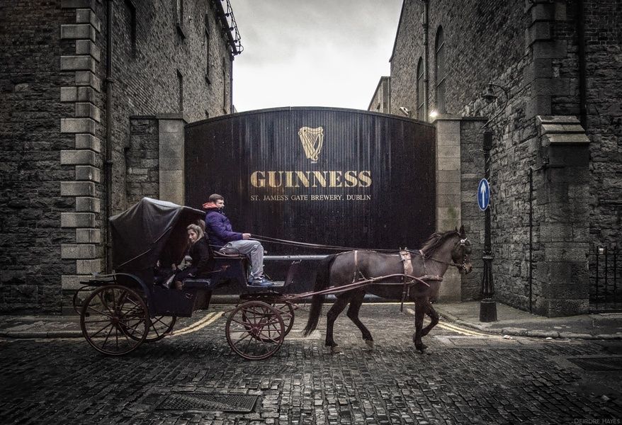 Having a pint of Guinness at the Guinness Brewery is one of the best things to do in Ireland